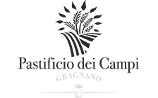 logo_edited.png